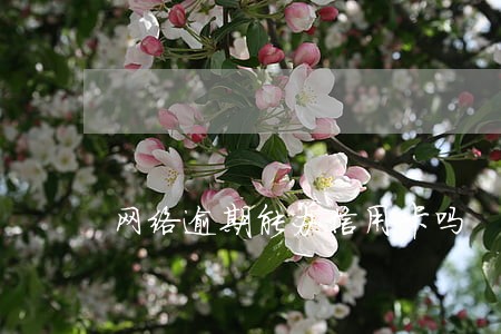 网络逾期能办信用卡吗 网络逾期能办信用卡吗