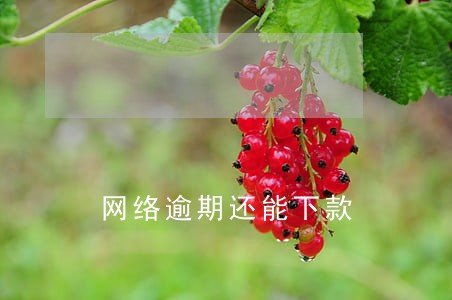 网络逾期还能下款 网络逾期还能下款