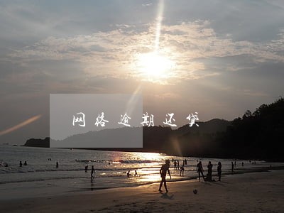 网络逾期还贷 网络逾期还贷