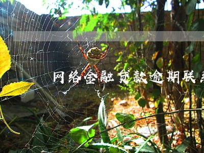 网络金融贷款逾期联系人