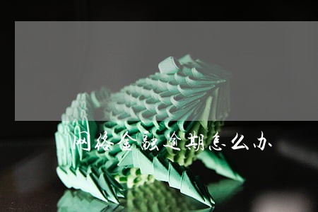 网络金融逾期怎么办 网络金融逾期怎么办
