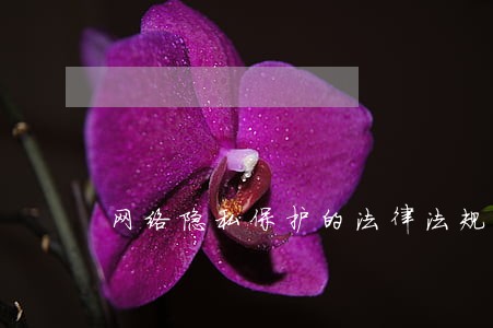 网络隐私保护的法律法规 网络隐私保护的法律法规