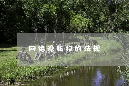 网络隐私权的法规 网络隐私权的法规