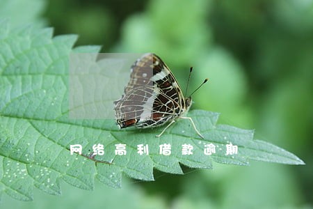 网络高利借款逾期 网络高利借款逾期