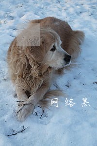 网络黑贷逾期费合理吗 网络黑贷逾期费合理吗