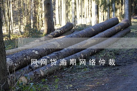 网网贷逾期网络仲裁 网网贷逾期网络仲裁