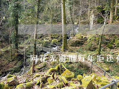 网花无逾期万年拒还有什么口子 网花无逾期万年拒还有什么口子