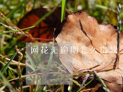 网花无逾期怎么贷款 网花无逾期怎么贷款