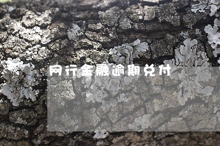 网行金融逾期兑付 网行金融逾期兑付