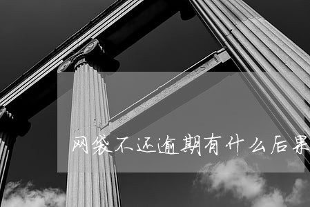 网袋不还逾期有什么后果 网袋不还逾期有什么后果