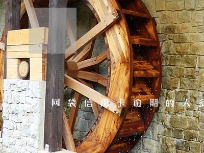 网袋信用卡逾期的人多么