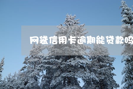 网袋信用卡逾期能贷款吗 网袋信用卡逾期能贷款吗