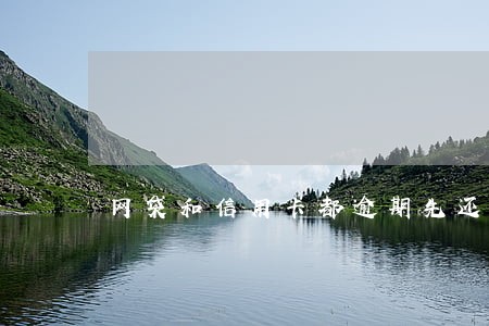 网袋和信用卡都逾期先还哪个 网袋和信用卡都逾期先还哪个