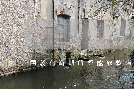 网袋有逾期的还能放款吗 网袋有逾期的还能放款吗