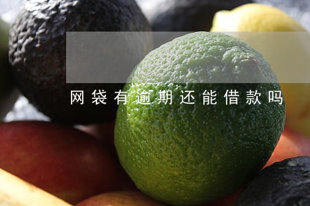 网袋有逾期还能借款吗 网袋有逾期还能借款吗