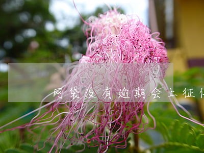 网袋没有逾期会上征信吗 网袋没有逾期会上征信吗