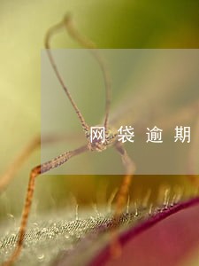 网袋逾期5天会买不了房吗 网袋逾期5天会买不了房吗