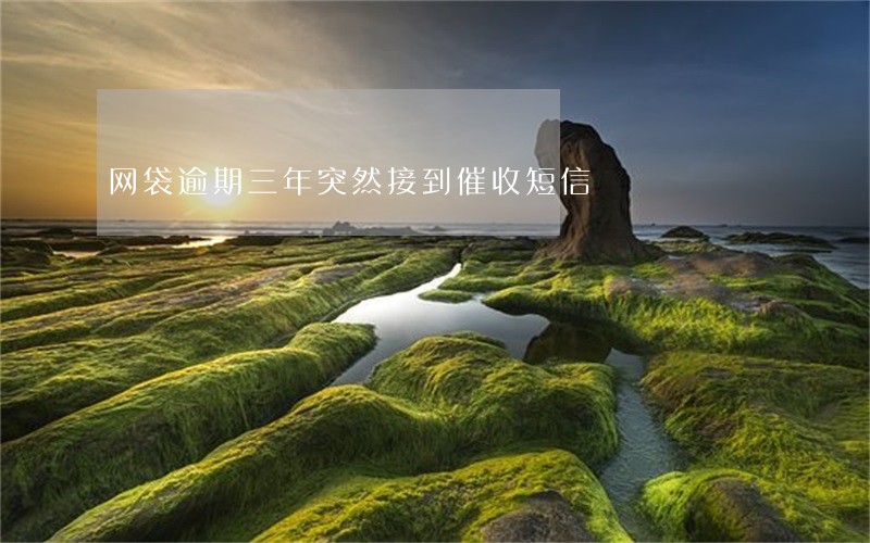 网袋逾期三年突然接到催收短信 网袋逾期三年突然接到催收短信