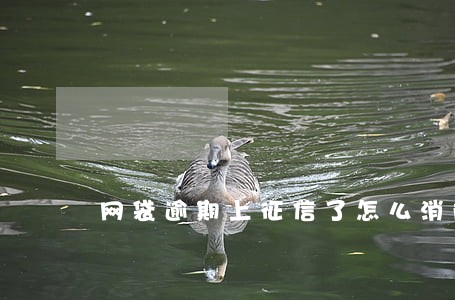 网袋逾期上征信了怎么消除 网袋逾期上征信了怎么消除