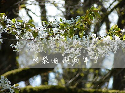 网袋逾期两年了 网袋逾期两年了