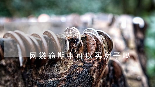 网袋逾期中可以买房子吗 网袋逾期中可以买房子吗