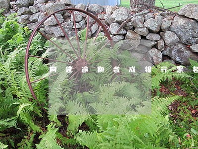 网袋逾期会成银行黑名单吗 网袋逾期会成银行黑名单吗