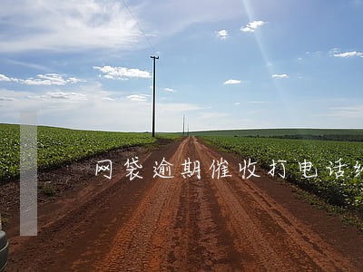 网袋逾期催收打电话给家人了 网袋逾期催收打电话给家人了