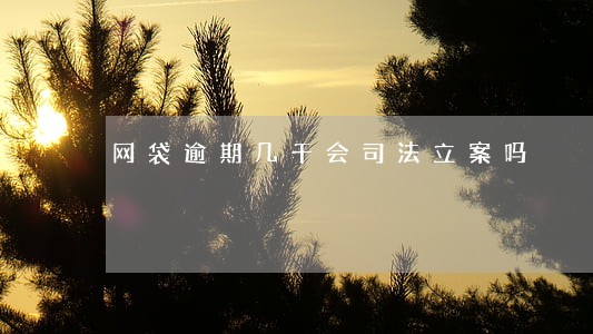 网袋逾期几千会司法立案吗
