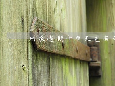 网袋逾期十多天芝麻分会降吗 网袋逾期十多天芝麻分会降吗
