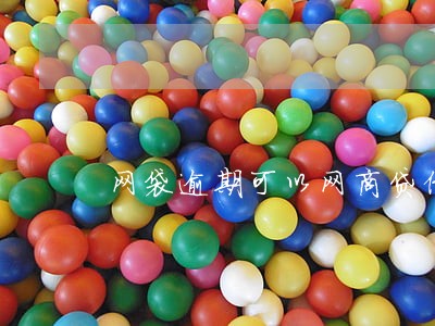 网袋逾期可以网商贷借款吗 网袋逾期可以网商贷借款吗