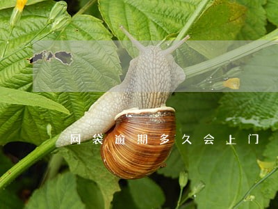 网袋逾期多久会上门 网袋逾期多久会上门