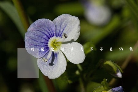 网袋逾期多久算不良记录 网袋逾期多久算不良记录