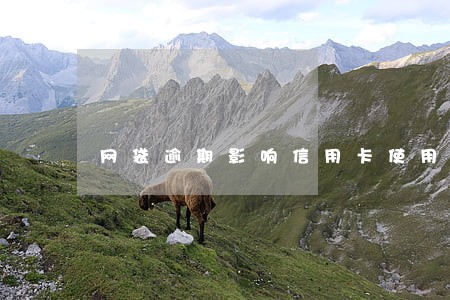 网袋逾期影响信用卡使用吗