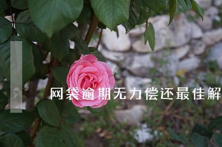 网袋逾期无力偿还最佳解决办法 网袋逾期无力偿还最佳解决办法