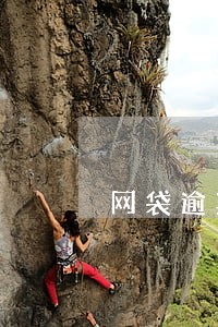 网袋逾期暴力催收 网袋逾期暴力催收