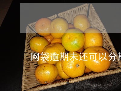 网袋逾期未还可以分期买车吗 网袋逾期未还可以分期买车吗