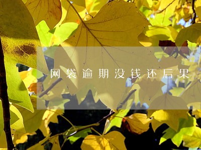 网袋逾期没钱还后果 网袋逾期没钱还后果