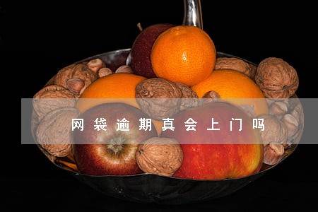 网袋逾期真会上门吗 网袋逾期真会上门吗
