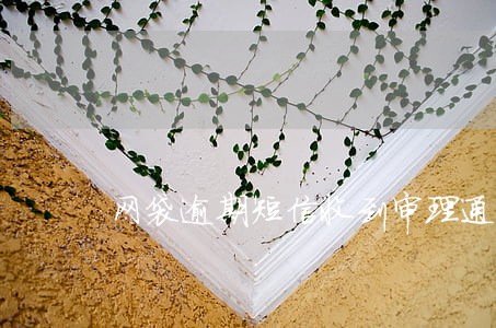 网袋逾期短信收到审理通知 网袋逾期短信收到审理通知