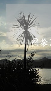 网袋逾期被下了律师函 网袋逾期被下了律师函