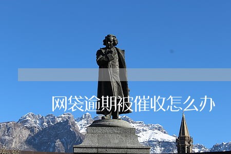 网袋逾期被催收怎么办 网袋逾期被催收怎么办
