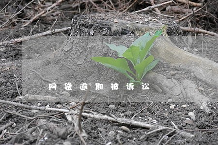 网袋逾期被诉讼