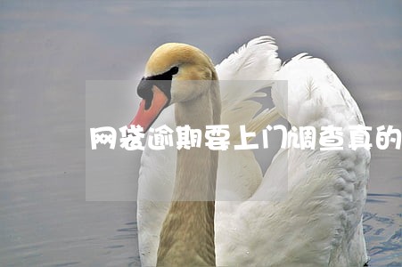 网袋逾期要上门调查真的假的 网袋逾期要上门调查真的假的