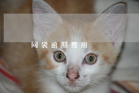 网袋逾期费用 网袋逾期费用