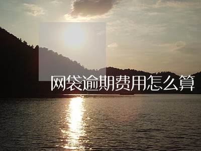 网袋逾期费用怎么算