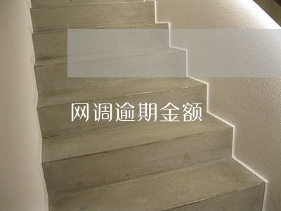 网调逾期金额 网调逾期金额