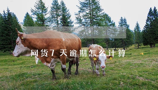 网货7天逾期怎么计算 网货7天逾期怎么计算