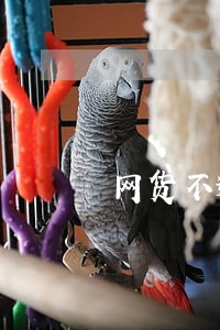 网货不逾期有利息吗 网货不逾期有利息吗