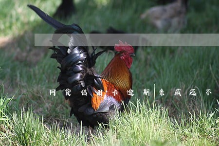 网货信用卡逾期亲戚还不上怎么办 网货信用卡逾期亲戚还不上怎么办