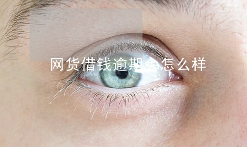 网货借钱逾期会怎么样 网货借钱逾期会怎么样